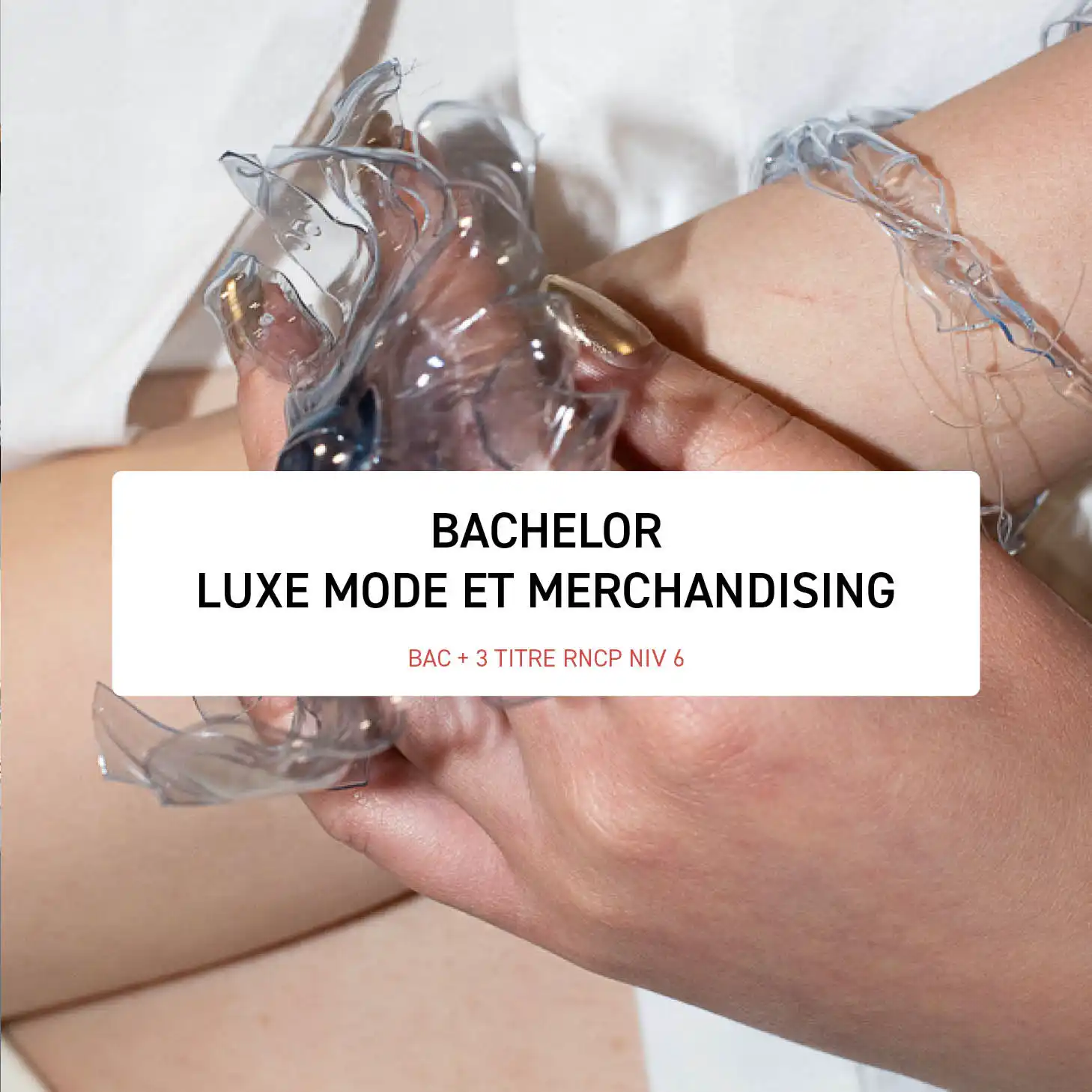 Bachelor Luxe Mode et Merchandising