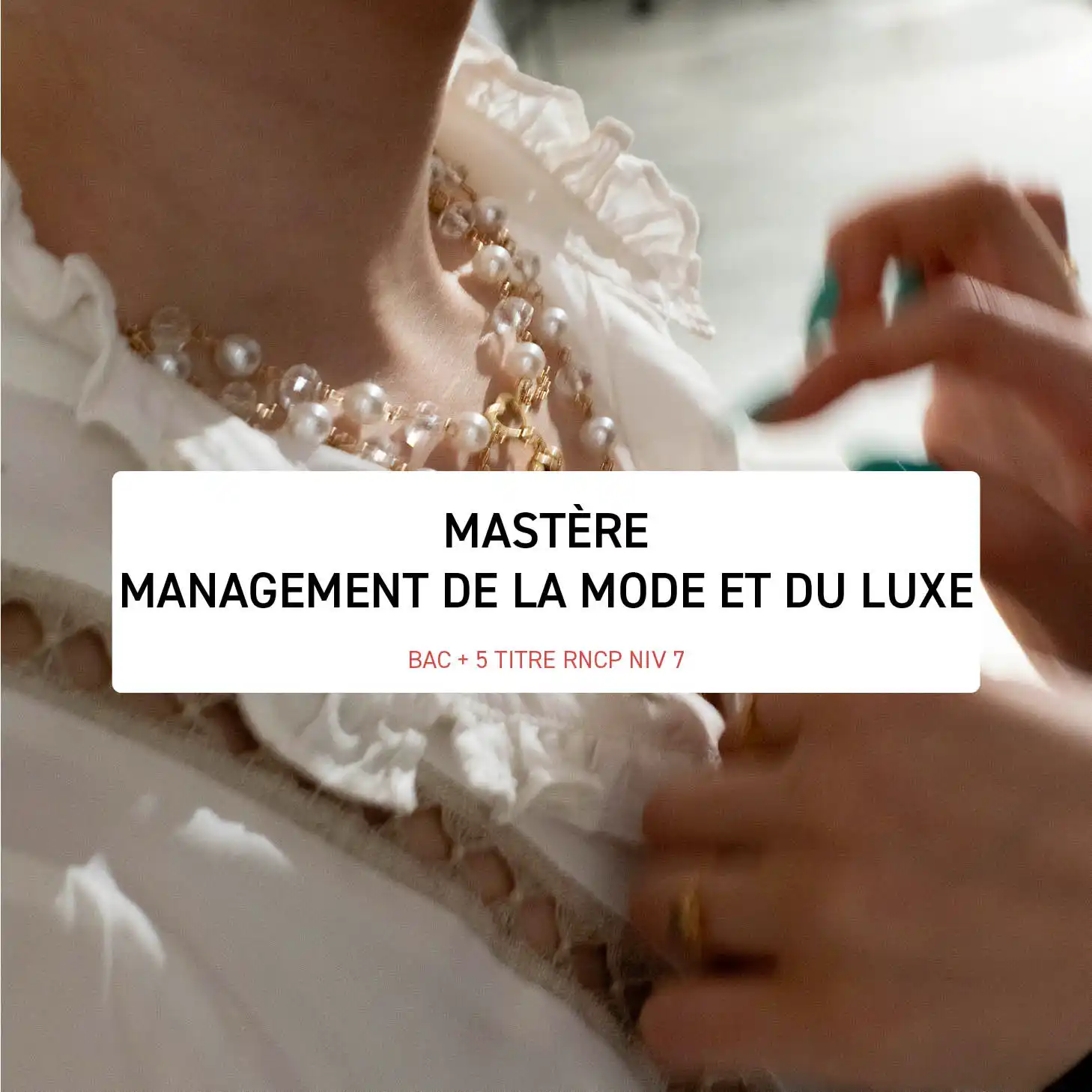 Master of Fashion and Luxury Management