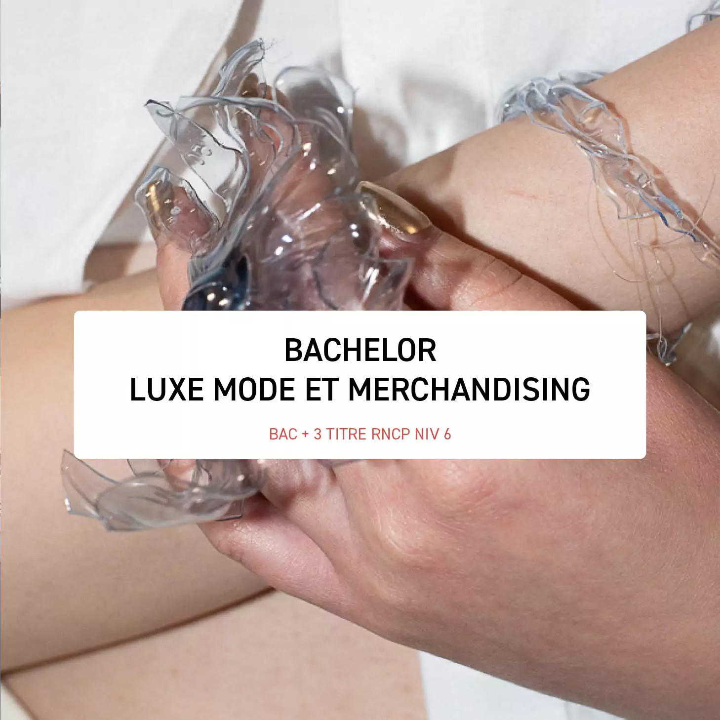 Bachelor Luxe Mode et Merchandising